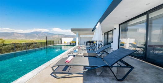Villa Nar Tanesi 3 Resim