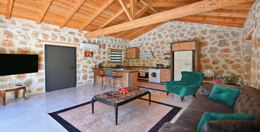 Villa Elam 4 Resim