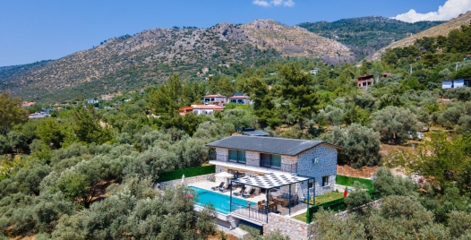 Villa Gringo 0 Resim