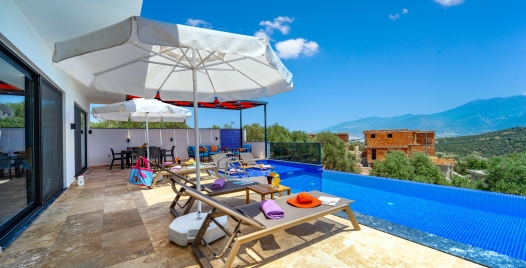 Villa Fransa 4 Resim