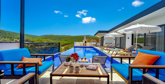 Villa Fransa 3 Resim