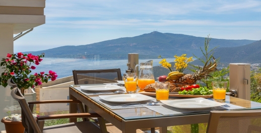 Villa Deluxe Lamer 2 Resim