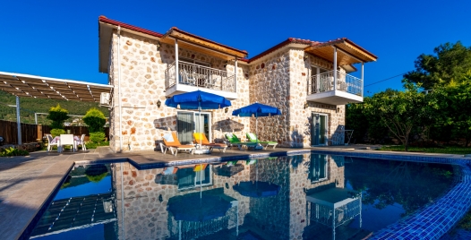 Villa Ceviz 4 Resim