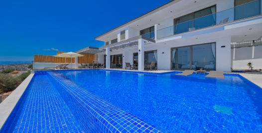 Villa Big Boss 1 1 Resim