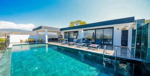 Villa Nar Tanesi 1 Resim