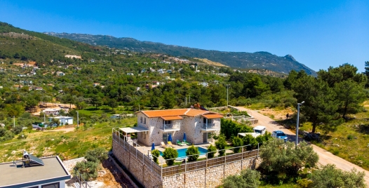 Villa Ceviz 1 Resim