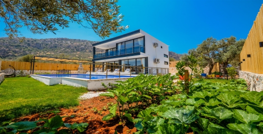 Villa Siyah Gül 0 Resim